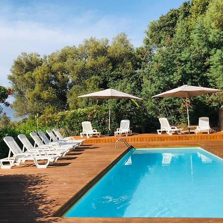 Camping Monte Ortu By Corsica Paradise Hotel Lumio  Exterior photo